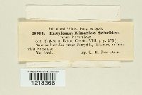 Image Associated With the Occurrence