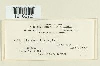 Image Associated With the Occurrence