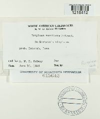 Image Associated With the Occurrence