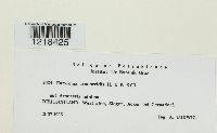 thumbnail image of current specimen