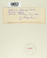 Image Associated With the Occurrence