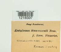 Image Associated With the Occurrence