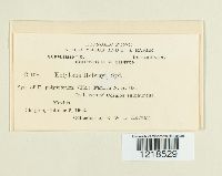 Image Associated With the Occurrence