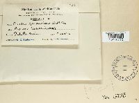 Image Associated With the Occurrence