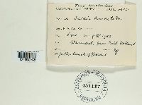 Image Associated With the Occurrence