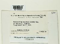 Exobasidium vaccinii image