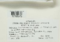 Image Associated With the Occurrence