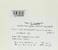 Image Associated With the Occurrence