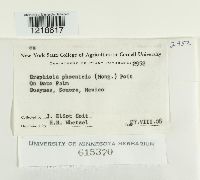 Image Associated With the Occurrence