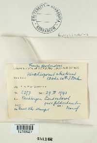 Image Associated With the Occurrence