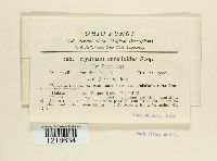 Image Associated With the Occurrence