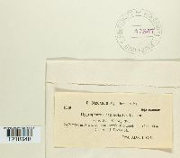 Image Associated With the Occurrence