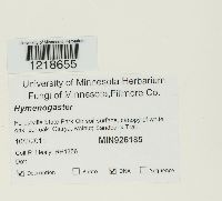 Image Associated With the Occurrence