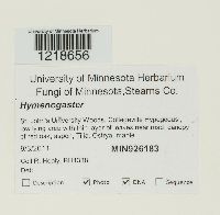 Image Associated With the Occurrence