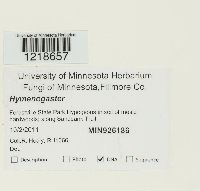 Image Associated With the Occurrence