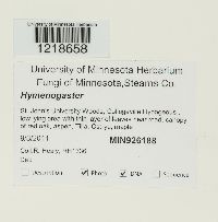 Image Associated With the Occurrence