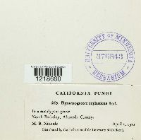 Image Associated With the Occurrence