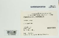 Image Associated With the Occurrence