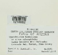 Image Associated With the Occurrence