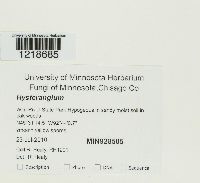 Image Associated With the Occurrence