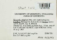 Kriegeria eriophori image