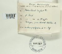 Image Associated With the Occurence