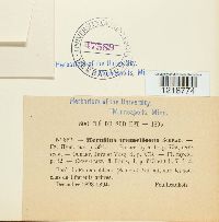 Image Associated With the Occurence