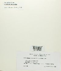 Image Associated With the Occurrence