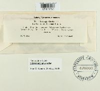 Image Associated With the Occurrence