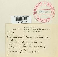 Image Associated With the Occurrence