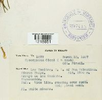 Image Associated With the Occurrence