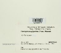 Image Associated With the Occurrence