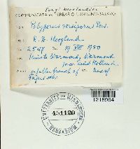 Image Associated With the Occurrence