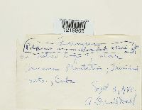 Image Associated With the Occurrence