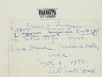 Image Associated With the Occurrence