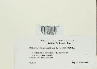 Image Associated With the Occurrence