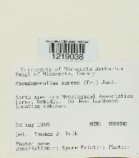 Image Associated With the Occurrence