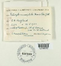 Image Associated With the Occurrence