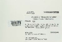 Image Associated With the Occurrence