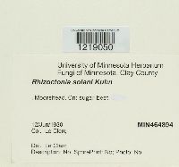 Media resource of Rhizoctonia solani