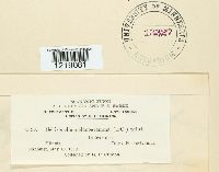 thumbnail image of current specimen