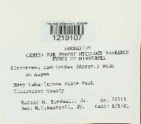 Image Associated With the Occurrence