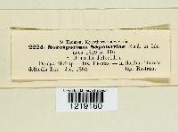 Image Associated With the Occurrence