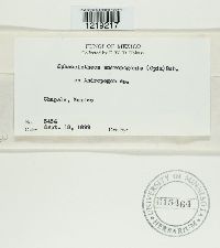 Image Associated With the Occurrence