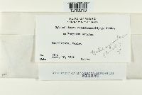 Image Associated With the Occurrence