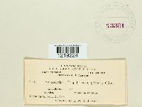 Image Associated With the Occurrence