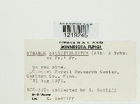 Media resource of Stereum sanguinolentum