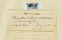 Image Associated With the Occurrence