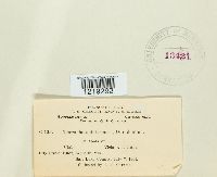 Image Associated With the Occurrence