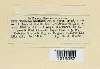 Image Associated With the Occurrence